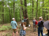 Woodland Walk with a Forester